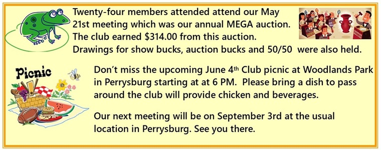 Meeting 20260521